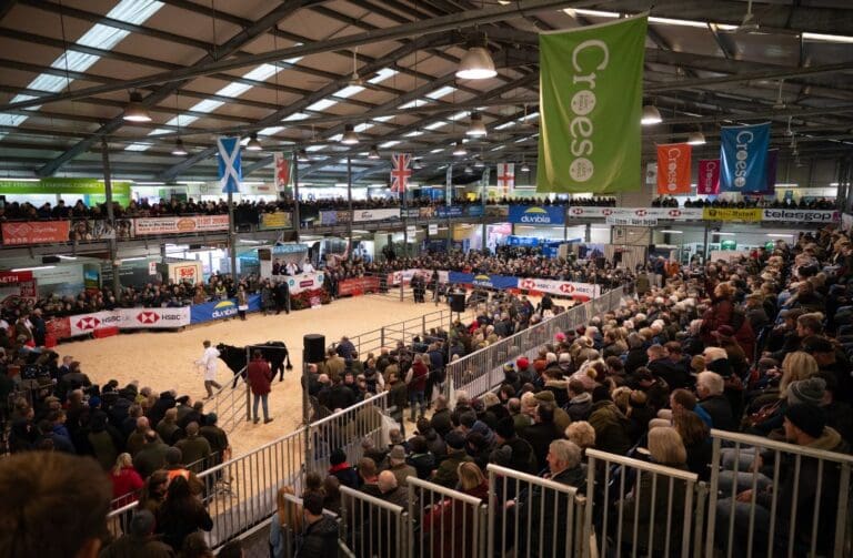 Tickets now on sale for the Royal Welsh Winter Fair 2026