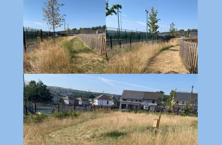 Blaenau Gwent schools create wildlife spaces with council teams