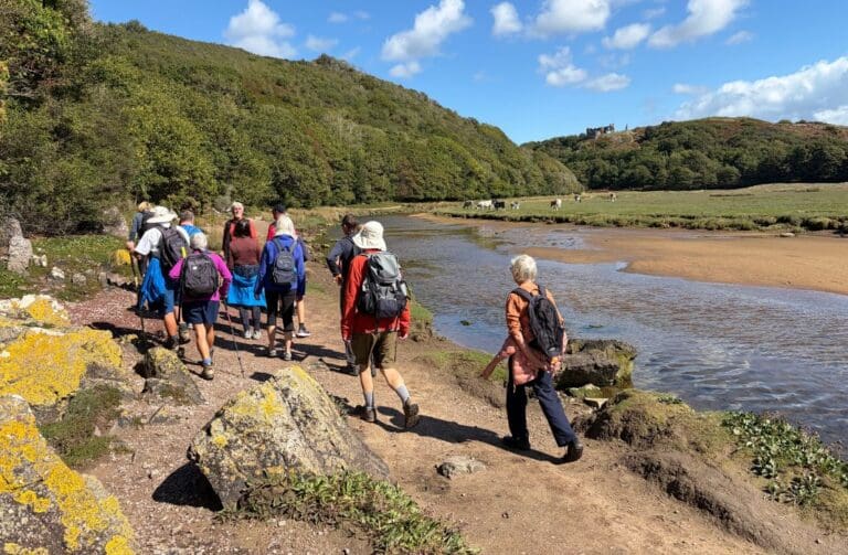 Gower Walking Festival attracts 500 walkers from across the world