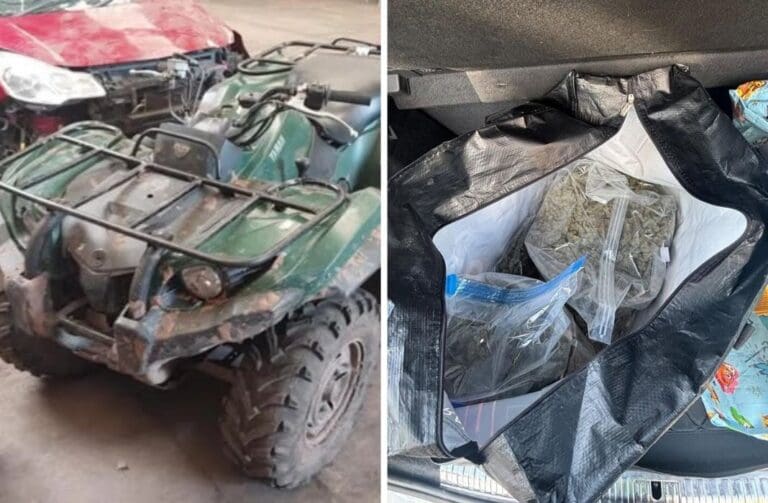 £12,000 cash seized and cannabis factory dismantled in Cardiff