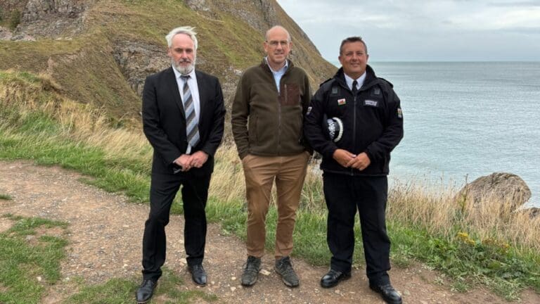 New protections proposed for seals and hares in Wales