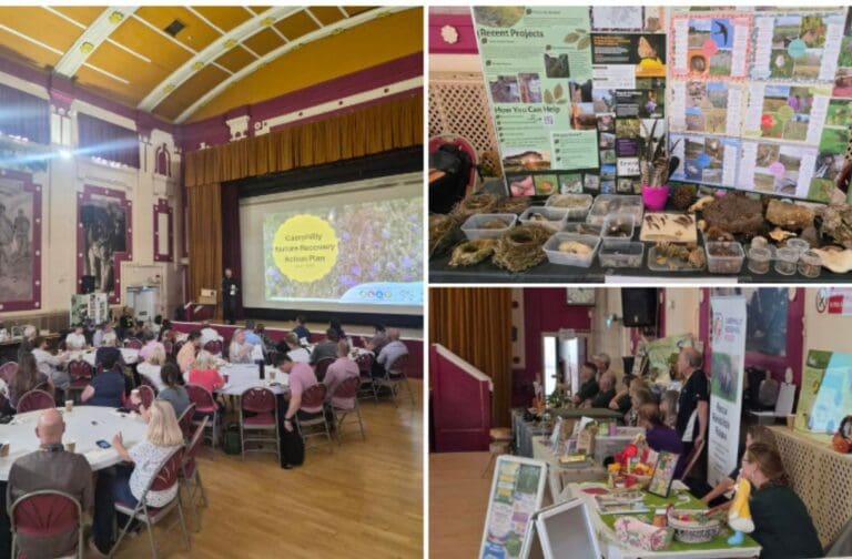 Caerphilly launches new action plan to help protect local wildlife