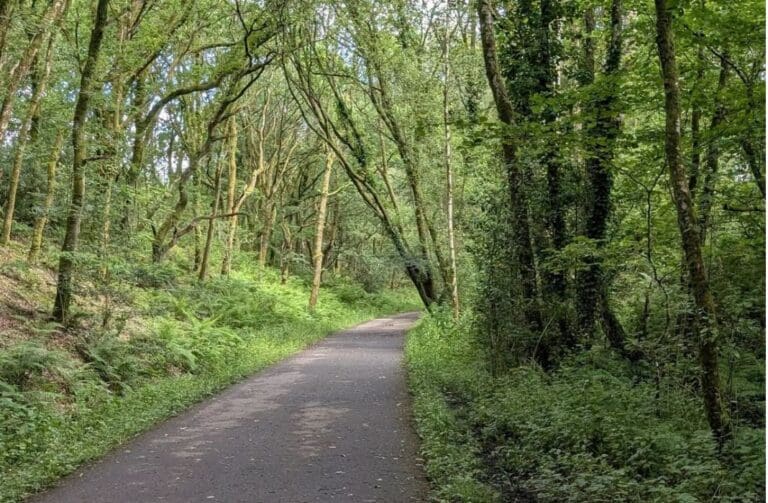 Major upgrade planned for cycle route between Dunvant and Gowerton