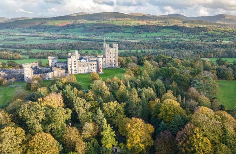National Trust Cymru names eight nature highlights to see in Wales this autumn
