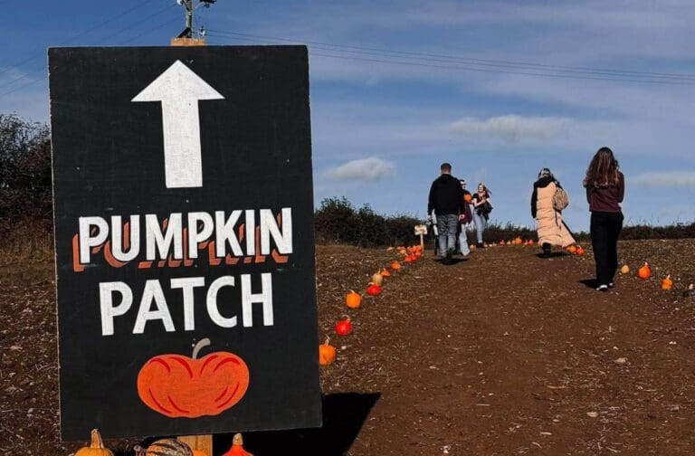Popular Gower pumpkin patch opens with plenty of spooky attractions