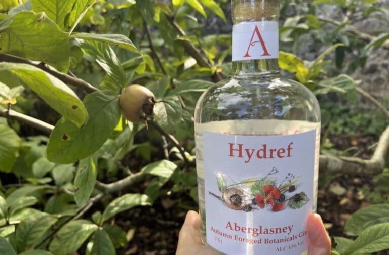 Aberglasney autumn gin Hydref in the Kitchen Garden