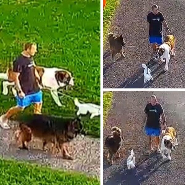 Police release CCTV images of dog walker after man’s death